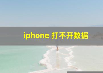 iphone 打不开数据